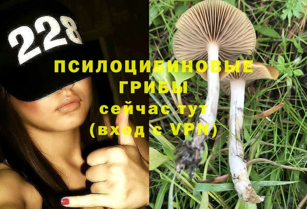 дживик Ладушкин