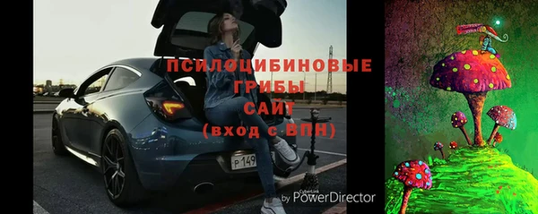 ПСИЛОЦИБИНОВЫЕ ГРИБЫ Кулебаки
