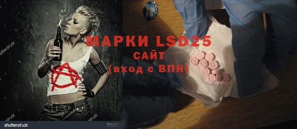 ПСИЛОЦИБИНОВЫЕ ГРИБЫ Кулебаки